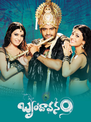 Brindavanam (The Super Khiladi) (2010) (Hindi – Telugu) Dual Audio 600MB