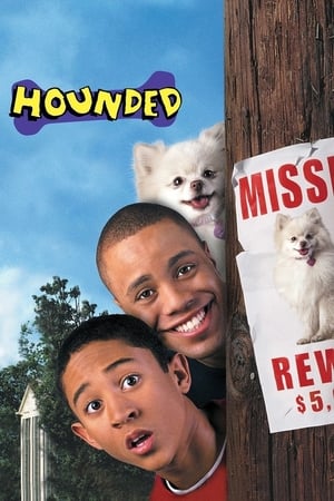 Hounded 2001 Hindi Dual Audio [1.1GB]