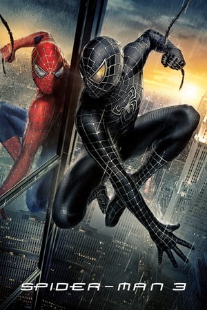 Spider-Man 3 (2007) Hindi Dual Audio 300MB